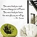 CiCy Dr Seuss The More That You Read Wall Art Vinyl Decals Stickers Quotes and Sayings Home Art Decor Decal Love Kids Bedroom Mural Size: 13 Inches X 23 Inches