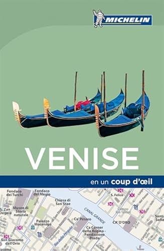 Download Venise en un coup d'oeil Michelin PDF