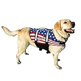 Pawz Pet Products Doggy Life Jacket, American Flag, Small