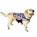 Pawz Pet Products Doggy Life Jacket, American Flag, Small