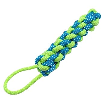 SRI Durable Rope Stick Teething Playing Dog Tug Chew Toy, Green/Pink