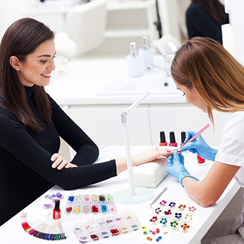 Sealive 3D Nail Art Accessories Kits 12 Colors Natural Real Dried Flowers Nail Art 3 Set, with 50 Pcs Fan-shaped PVC False Nail Art Tips Practice Display, Nail Brush and Nail Stickers Decal Tweezer - Thumbnail 5