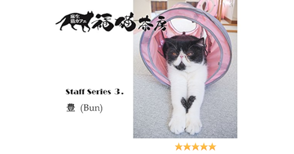 Fukunekosabou Staff Series 3 Bun Japanese Edition Kindle Edition By Funabashi Mioko Crafts Hobbies Home Kindle Ebooks Amazon Com Fukunekosabou Staff Series 3 Bun Japanese Edition Kindle Edition By Funabashi Mioko Crafts Hobbies Home Kindle Ebooks Amazon Com