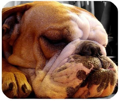Bulldog Personalized Custom Gaming Mouse Pad Rubber Durable Computer Desk Stationery Accessories Mouse Pads For Gift