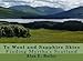 To Wool and Sapphire Skies: Finding Myrtha's Scotland (The Alexander Saga) (Volume 5) by 