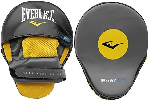 everlast focus mitts