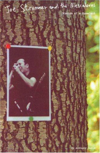 Joe Strummer and the Mescaleros: Vision of a Homeland