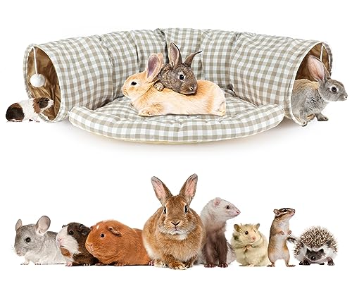 BWOGUE Rabbit Tunnel Bed