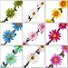 eBoot Lady Girl Headbands Multicolor Daisy Flower Crown Floral Garland for Festival Wedding Party, 9 Pieces