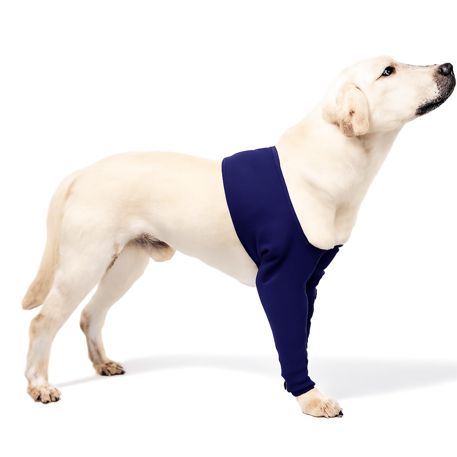 Dogs Anti-licking Protection Sleeve, Dog Surgery Recovery Sleeves to Stop Licking Wound Dog Leg Wound Protector Sleeve Avoid Wound Infection for Pet Front Leg Injury Recover Sprains