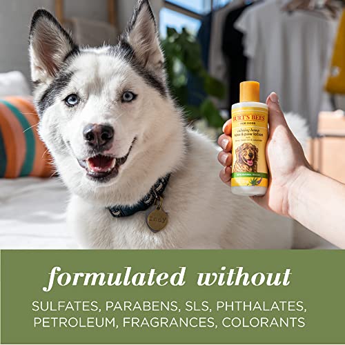 BURT’S BEES FOR PETS CALMING HEMP PAW & NOSE LOTION – BURT’S BEES DOG LOTION BURT’S BEES DOG PAW BALM WITH HEMP SEED OIL & LAVENDER MADE WITH NATURALLY DERIVED INGREDIENTS – PH BALANCED FOR DOGS, 4 OZ