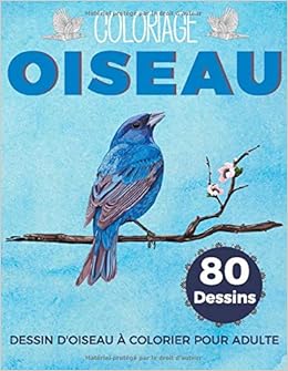 Coloriage Oiseau Dessin Doiseau à Colorier Pour Adulte