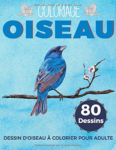 Coloriage Oiseau Dessin D Oiseau A Colorier Pour Adulte French Edition Pour Adultes Coloriage 9781983344404 Amazon Com Books