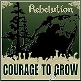 Rebelution Free Rein Amazon Com Music