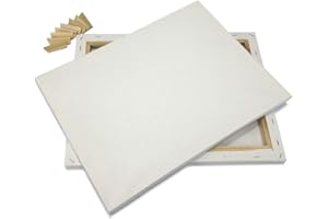 EDM Lot 2 Artist Canvas 12x16" Blank Pre-Stretched Framed Cotton Double Gesso