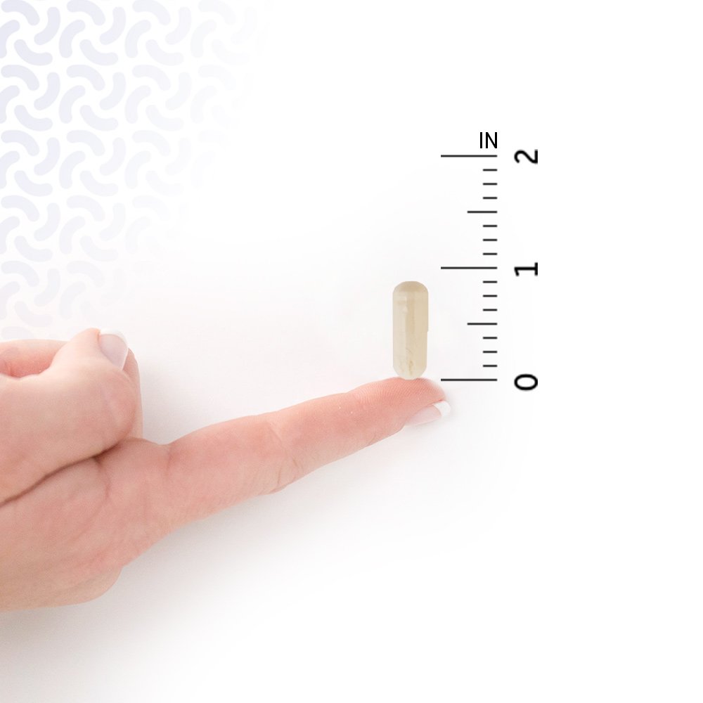 Garden-of-Life-Probiotics-Supplement