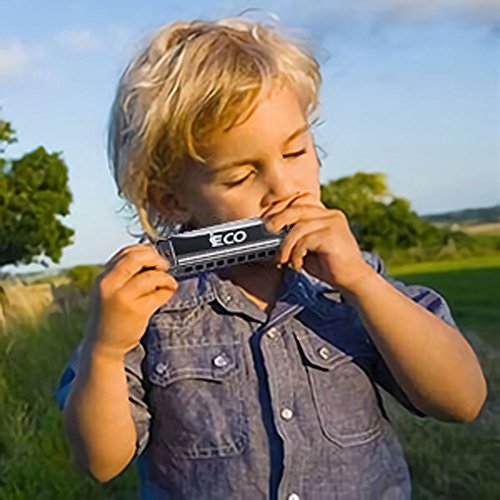 Diatonic Harmonica – 10 Hole Blues Harp with Case, Learning Instruction, Polishing Cloth, Key of C