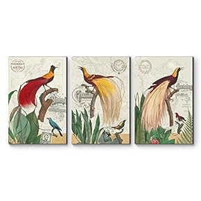 3 Panel Decorative Bird Set x 3 Panels