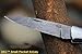 DKC Knives Sale (28 6/18) DKC-58-LJ-CL-DS Little Jay Classic Damascus Folding Pocket Knife Bone Handle 4