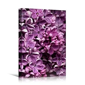signwin Canvas Wall Art Purple Petals Colorful Farmhouse/Country...