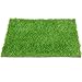 QYH Artificial Grass Doormat Indoor/Outdoor Green Lawn Rug Pet Turf for Dogs Pee Pad Synthetic Grass Door Mat Fake Grass Carpet for Entrance Way (18" x 24") primary