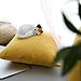 Kevin Textile Decor Velvet Throw Pillow Covers, Striped Decorative Pillow Case Handmade Cushion Cover for Couch, 18x18 inches,2 Pieces,Primrose Yellow