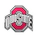FANMATS 60548 Ohio State Buckeyes Heavy Duty Aluminum Embossed Color Emblem, Auto Emblem Decal