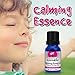 Calming Essential Oil for Kids by AlternaKids - 100% Pure, Therapeutic Grade, Undiluted Aromatherapy Blend for Children | Stress Relief, Anxiety, Peace & Quiet, Kid Safe (10ml bottle)