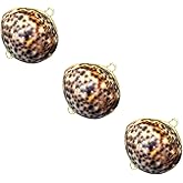 SHERCHPRY 3pcs Sea Style Jewelry Box Present Packing Boxes for Women Girls Creative Ring Earring Organizer for Special Occasions Everyday Jewelry Storage