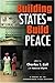 Building States to Build Peace