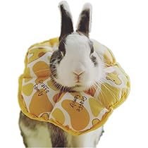Soft Cone For Dogs SEZDEKI Extra Small Soft Recovery Cone For Rabbits ...