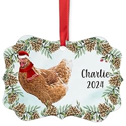 Brown Rhode Island Red Chicken Hen Christmas