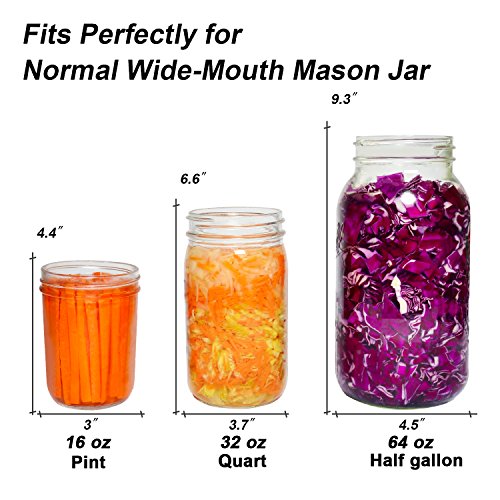 4 Fermentation+Vegetables+Submerged+Fermenting+FDA+Apporved