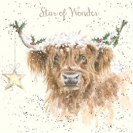 Wrendale Designs by Hannah Dale - Highland Star - Gold Foiled Christmas Card - Single