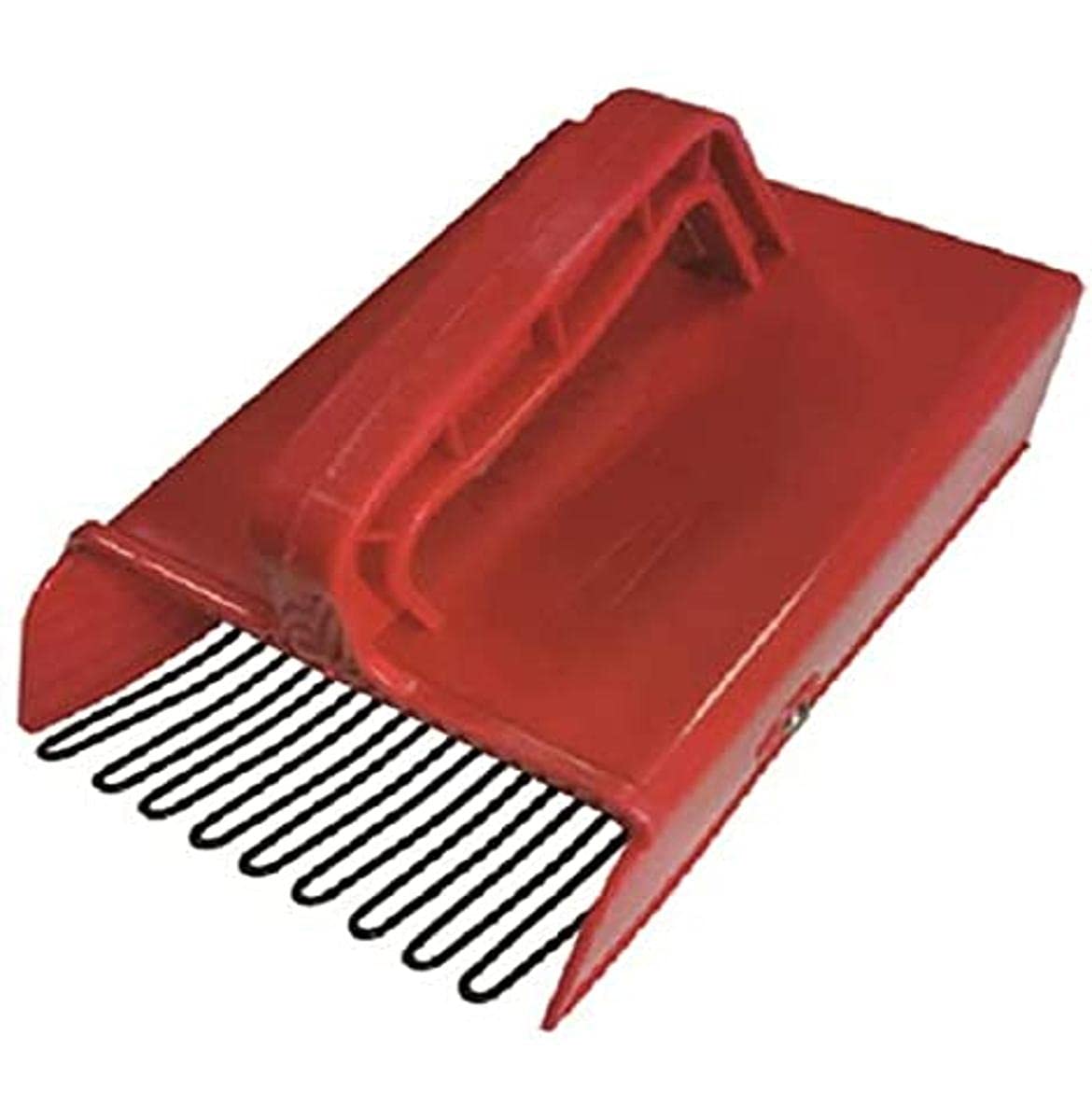 Vigor 6956020 Berries