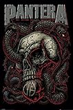Pantera - Music Poster (Snake Eyes) (Size: 24
