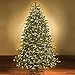 Holiday Essence Chasing Christmas Lights, 8 Function Controller 140 Clear Mini Bulbs Green Wire Indoor String Lights, 31.2 Feet Long Holiday Decor