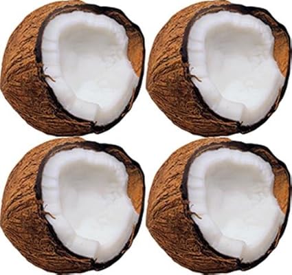 Monkey Mischief Coconuts Classic Accents