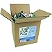 Airheads – Airheads Watermelon – Airheads Bulk - Green Candy – Bulk Candy – 3 Pounds