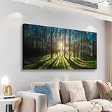Sunrise Forest Pictures Canvas Wall Art for Living