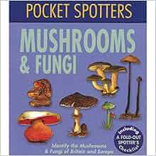 Pocket Spotters Mushrooms And Fungi Leslie Jackman