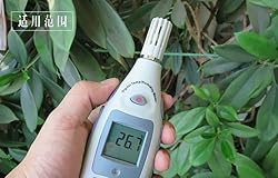 TM820M Thermohygrometer