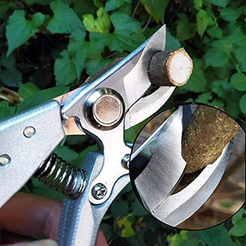 MEPEREZ pruning shears, premium garden pruners for roses, hedges