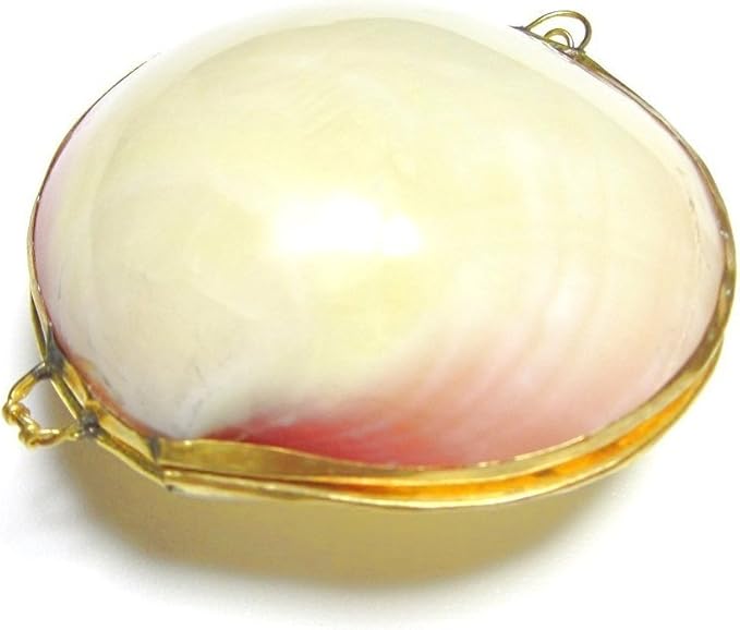 Amazon Co Jp Palero 手作り ハンドメイド シェル 貝 小物入れ アクセサリーケース ホーム キッチン