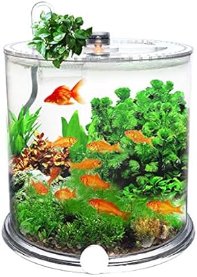 Xlsqw Desktop Fish Tank Cylindrical Aquarium Terrapin Tank