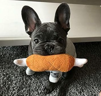 Pets Empire Plush Bone Chicken Legs Shape Sound Soft Play Toy for Pet Dog and Puppy