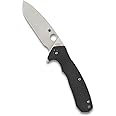 Spyderco Amalgam Premium Flipper Knife with 3.8" CPM S30V Stainless Steel Blade and Textured Carbon Fiber G-10 Handle - PlainEdge - C234CFP