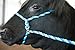 Weaver Livestock Poly Rope Breaking Cattle Halter, Adjustable, Modern Style Cow Calf Halter, Livestock Handling Equipment for Showing, Black