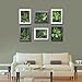 3D Artificial Flowers Wall Hanger with Frame Shape Vase, Ball Cactus Succulent Plants Moss on the Stone Green Leaves Grass, Black Frame, 7.87 in * 9.84 in