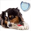 Beaphar-Toothbrush-and-Toothpaste-Kit-100g Beaphar | Toothbrush & Toothpaste Dental Care Kit | For Dogs & Cats | Includes a Double-Ended Toothbrush & Liver…